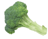 brocoli