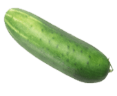 courgette